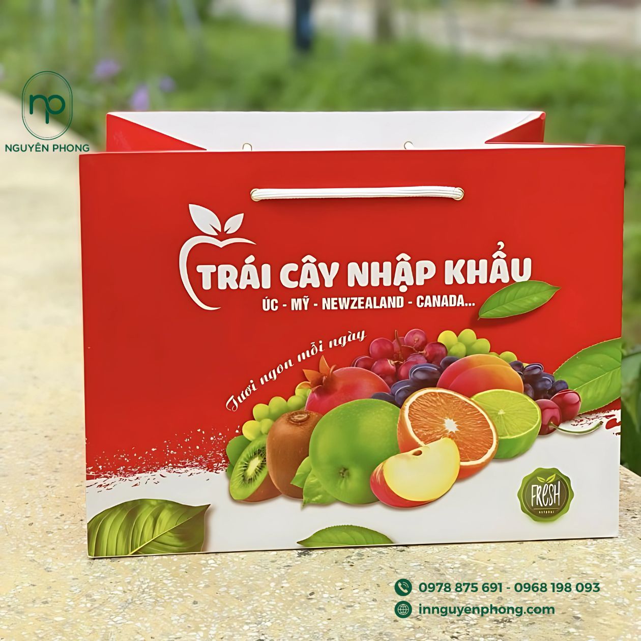 Mẫu túi giấy đựng hoa quả nhập khẩu